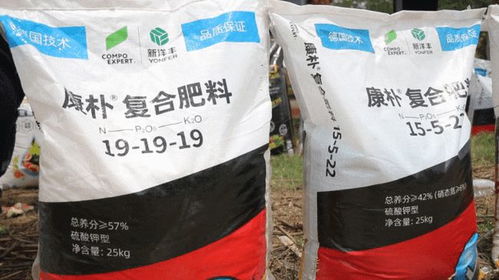 康樸r復合肥與力賽諾特肥,種出江蘇好葡萄