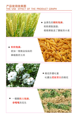 氯基水稻配方45%(12-18-15)|氯基復合肥|紅四方復合肥,品牌復合肥,復合肥生產廠家