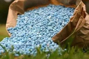 肥料中的 酸 基 啥意思 有什么用 不懂還真不行