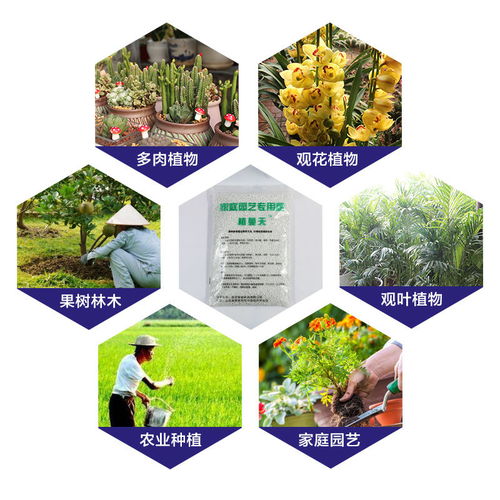 三元復(fù)合肥植物盆栽通用型養(yǎng)花家用有機(jī)花肥料氮磷鉀花卉緩釋化肥