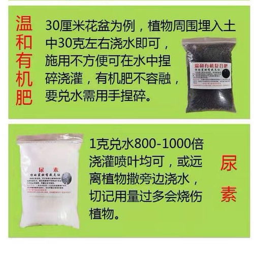 花肥料通用 速效多元素復合肥 盆栽有機肥料養花種菜化肥種花葉面