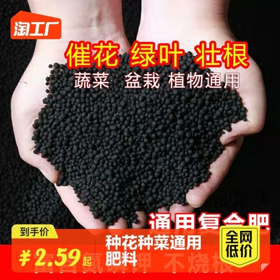 當前網購流行產品