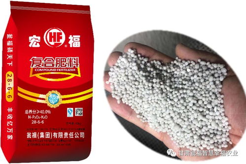 意外走紅 如實(shí)說