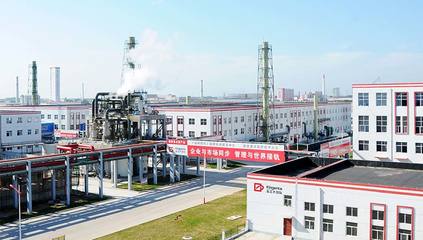 金正大生態工程集團 引領復合肥行業創新發展