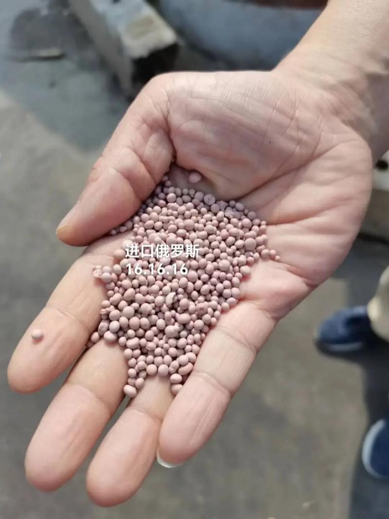 俄羅斯羅素施集團(tuán) 全球肥料供應(yīng)商的品質(zhì)堅(jiān)守與復(fù)合肥發(fā)展