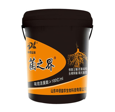 廣西中德益農工廠強勢升級，打造全品類復合肥生產新標桿