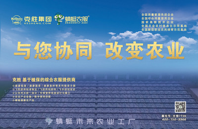 江蘇復合肥市場 供需平衡與創新營銷雙輪驅動